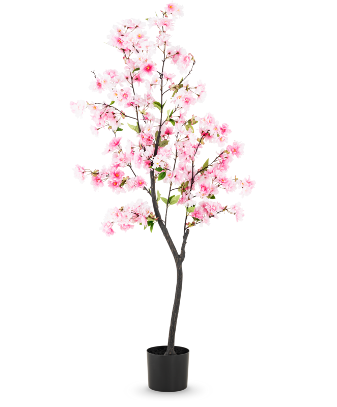 Roze Cherry Blossom bloesemboom van 150 cm met lichtroze bloemen, groene bladeren, donkere vertakte stam en zwarte pot.