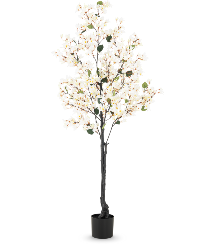 Witte Bougainvillea kunstplant van 180 cm met witte bloemen, groene bladeren, donkere stam en zwarte pot.